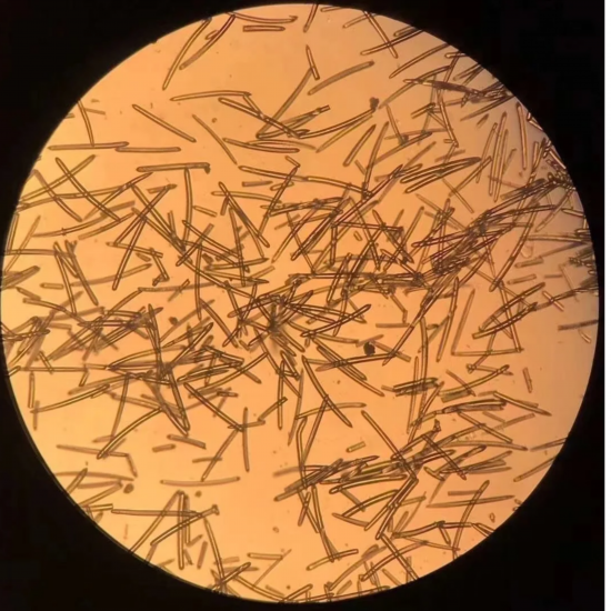 Spicule Peel – Подновяване на кожата за 7 дни